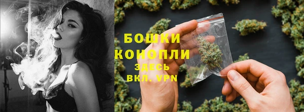 PSILOCYBIN Аркадак