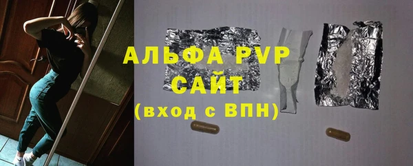 PSILOCYBIN Аркадак