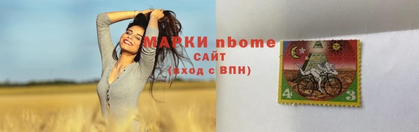 PSILOCYBIN Аркадак