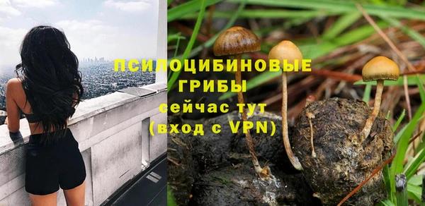 первитин Армянск